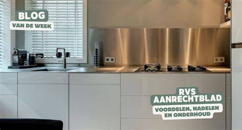 Infographic: Voor- en nadelen van RVS aanrechtblad in campers