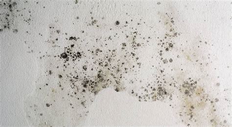 Voorstrijktest op wand: zie donker wordende vlekken bij zuigende muren