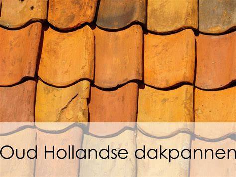 Diagram: Typen en ontwikkeling van Hollandse dakpannen door de eeuwen heen
