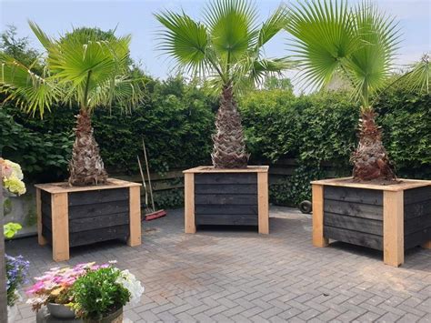 Voorbeeld van een palletmuur met geïntegreerde bloembakken