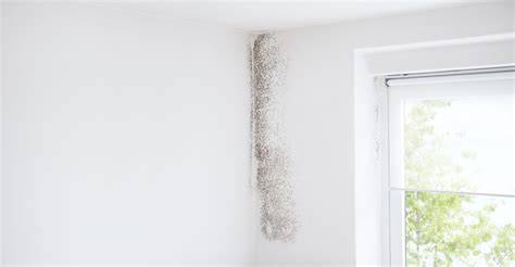 Vergelijk offertes banner