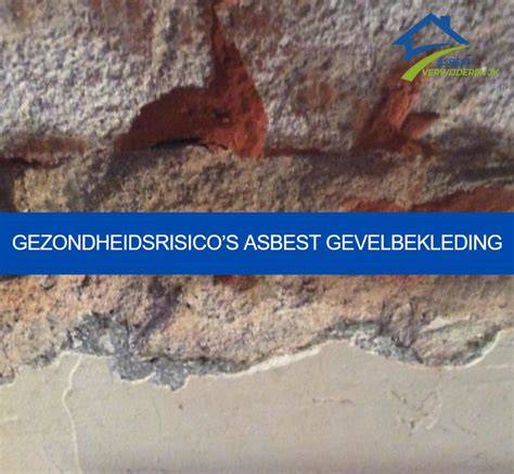 Infographic: Asbest, vezels, en gezondheidsrisico's