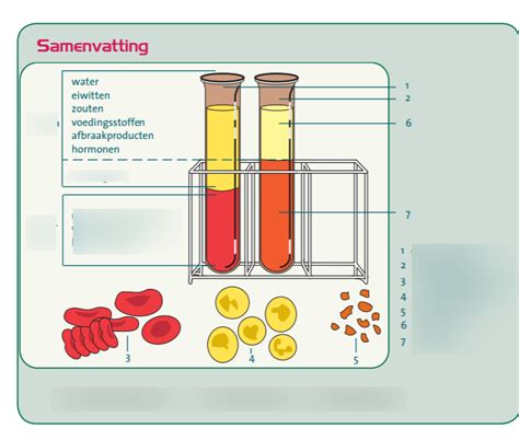 Diagram van afwerkingsniveaus en samenstelling van wanden