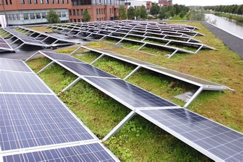 Groene daken met zonnepanelen infographic