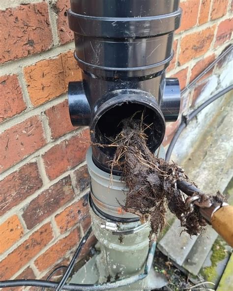 Afbeelding van een verstopte regenpijp met bladeren en een schone regenpijp met bladvanger.