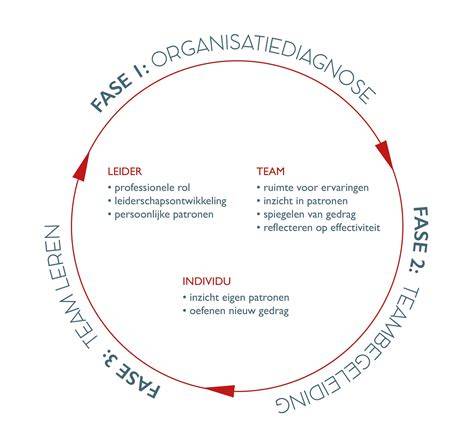 Infographic: Verschillende fases van cabriokapvervanging