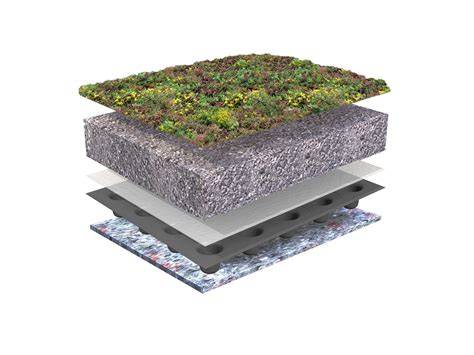 Schema van groendak-onderbouw met drainage, substraat en vegetatie