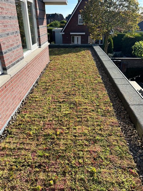 Voorbeeldontwerp: groen dak met sedummen en kruidlaag