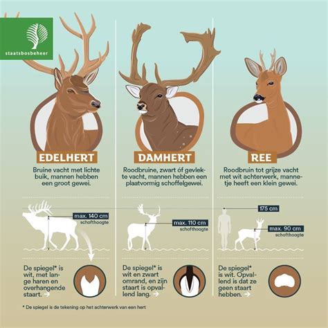 Infographic die het verschil toont tussen een schone en een vervuilde schoorsteen.