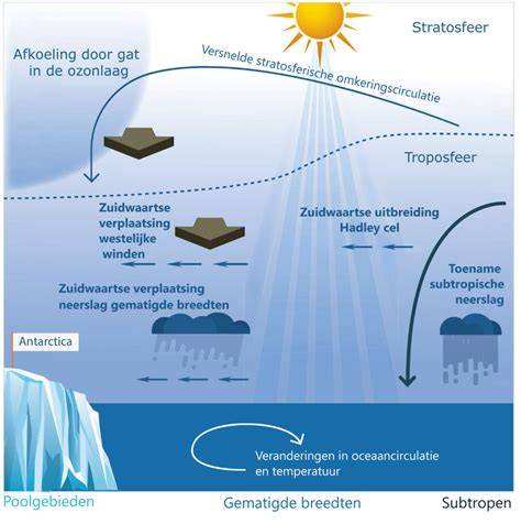 Diagram: relatie tussen lekkages, diagnoses en oplossingen
