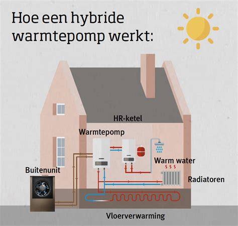 Infografiek: hybride warmtepomp vs full elektrisch