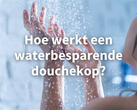 Waterbesparende tweeknopsbediening infographic