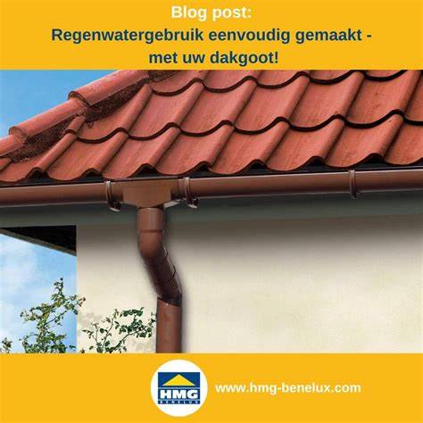 https://example.com/afbeelding-dakgoot.jpg