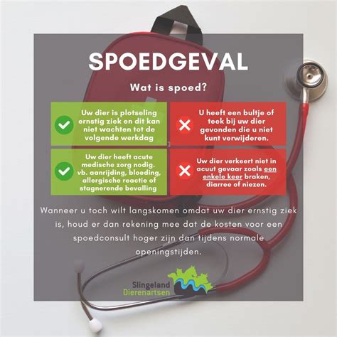 Illustratie van 24/7 spoed- en inspectieservices