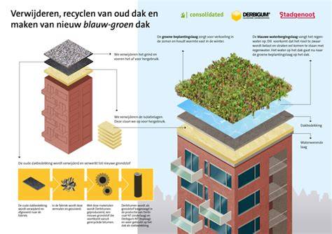 Infographic: Subsidievoorwaarden groen dak Meierijstad