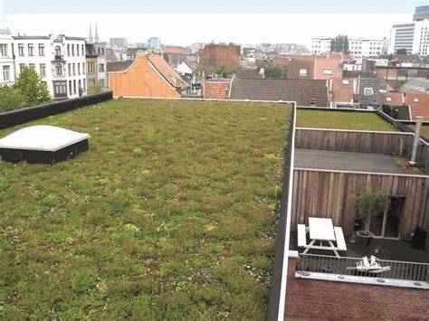 Foto's van gerealiseerde groendaken