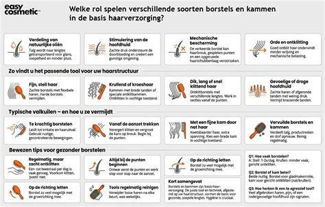 Infographic: Verschillende borstels en hun toepassingen voor harde vloeren, tapijt en kwetsbare oppervlakken