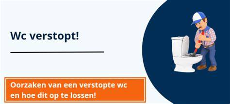 diagram: oorzaken van wc-verstopping en preventie