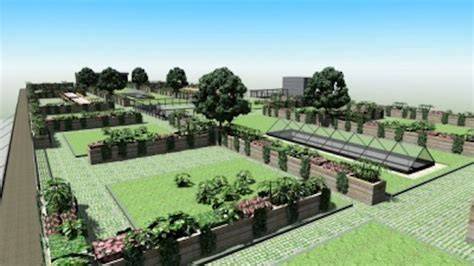 Infographic: Plat dak moestuin ontwerp
