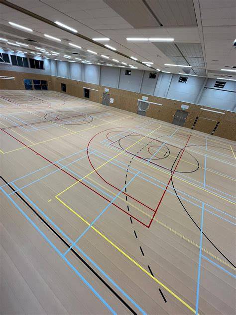 Illustratie: Antislip Lay-out en colorways voor sportvloeren