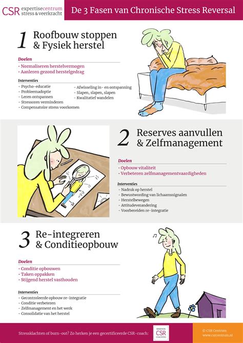 Infographic: Drie fasen van muurdoorbraak (inspectie, ontwerp, uitvoering)