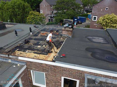 Foto: Overzicht van golfplaten en shingles op een plat dak