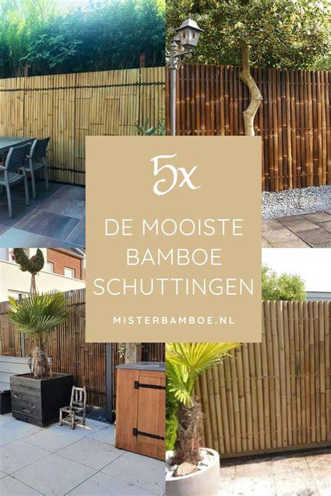 Infographic: Onderhoudsschema voor bamboe schuttingen
