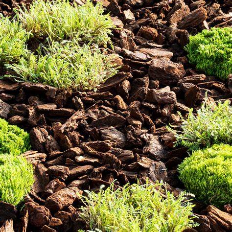 Afbeelding van verschillende soorten bodembedekking: boomschors, houtsnippers en cacaodoppen