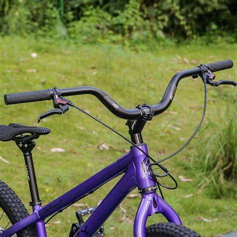 Figuur: Verschillende CanDo laminaattypes en lengtes, XXL-planken