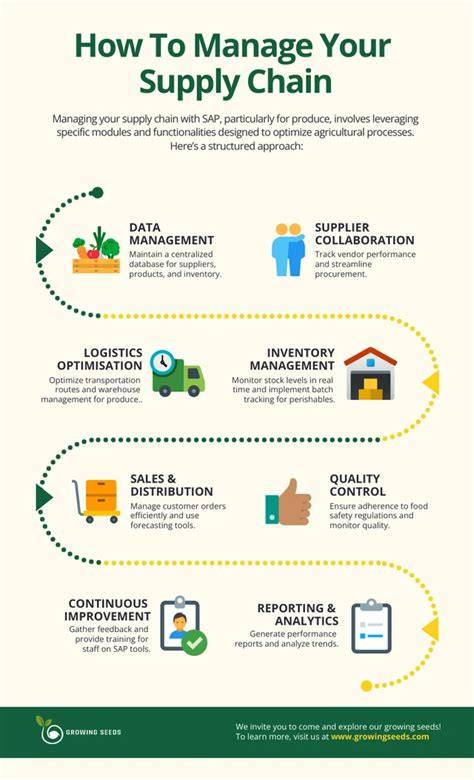 Infographic: supply chain en productiehallen Goemaat