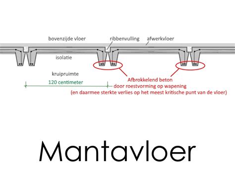 Infographic: Mantavloer vs. Kwaaitaalvloer kenmerken en herkenning