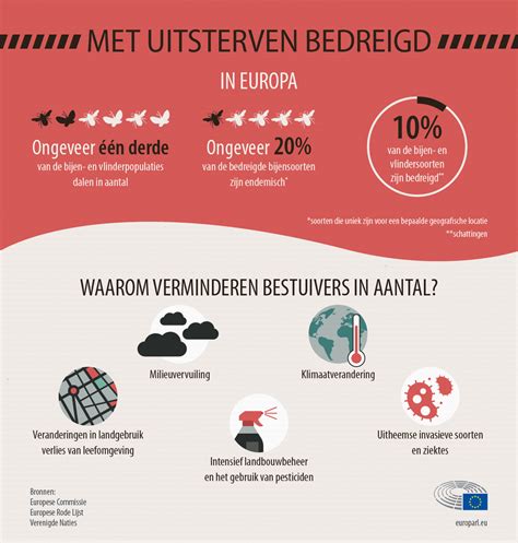 Infografiek: Oorzaken van schoorsteenlekkage en herstelvolgorde