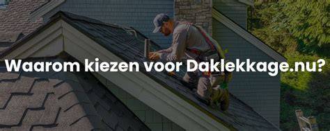 Flowchart van stappen bij daklekkage en claimproces
