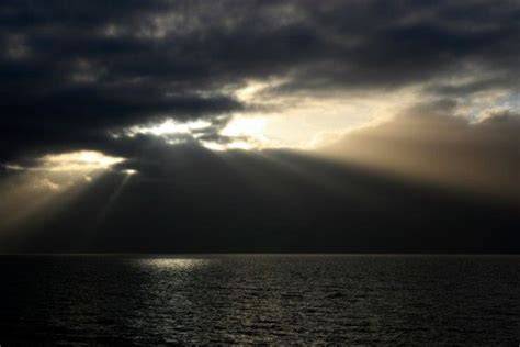 Afbeelding van donker en licht contrast in bamboe behang