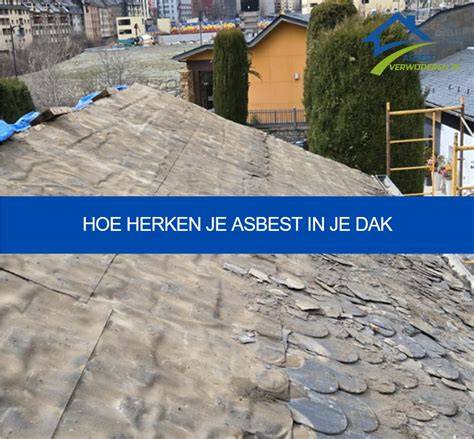 Infographic laten zien hoe je asbest kunt checken op het dak
