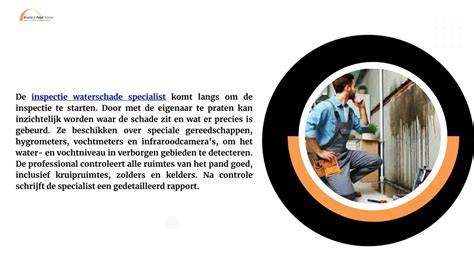 Infographic: Stappenplan inspectie waterschade