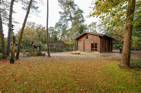Een sfeervol houten chalet in een bosrijke omgeving met een open haard binnen.