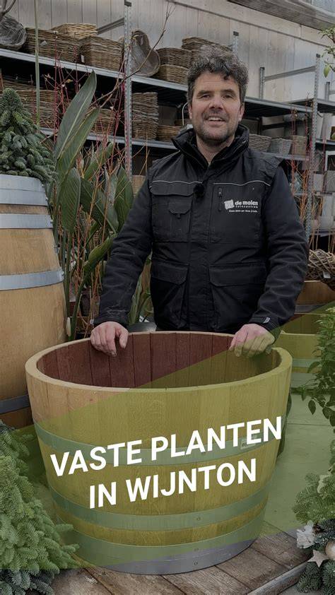 Infographic: Typische bloemmotieven en waar ze het best tot hun recht komen