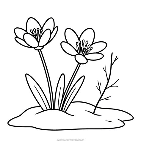 Tekening: Tekeningen 11.B1, 11.B2 en 11.B3