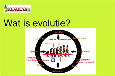 Infographic: Evolutie van asbestgebruik en sanering wereldwijd