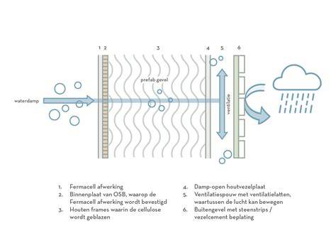 Diagram: Damptransport en dampspanningsrichtingen