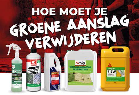 Infographic: Hoe groene aanslag ontstaat en hoe je het effectief verwijdert