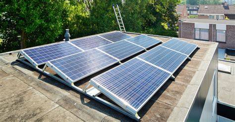 Infographic: Duurzaam dak - groendaken, zonnepanelen en isolatie