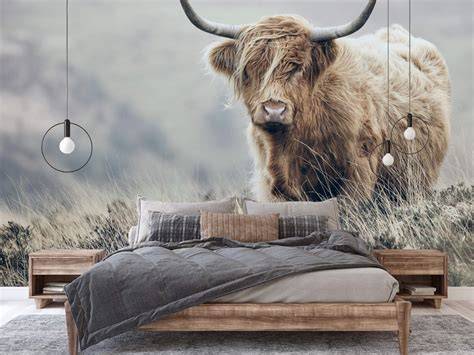 Schotse Hooglanders fotobehang zwart-wit aan eetkamer