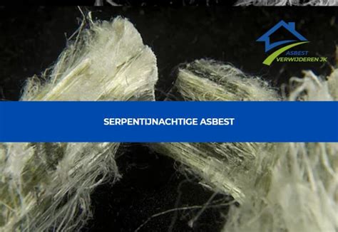 Infografiek: Verschillende soorten asbest en hun vezelvormen (serpentijn vs amfibool)