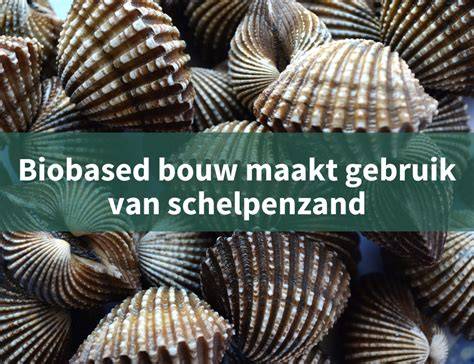 Infographic schelpen als bouwmateriaal en kruipruimteisolatie