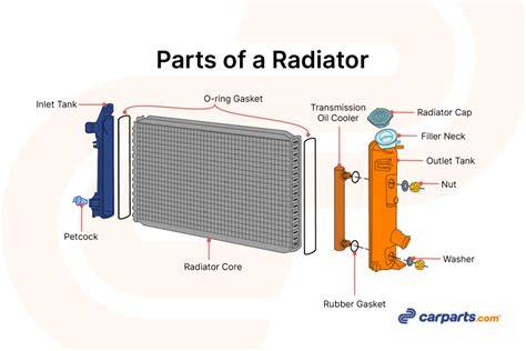 infographic_radiator_1