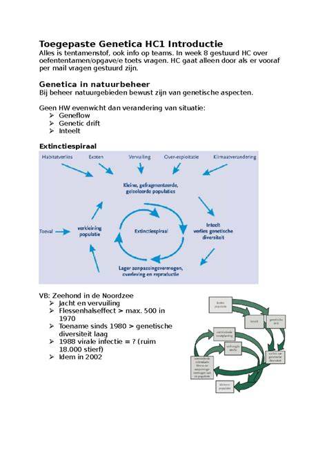 Prijsvoegen en voegwerkmethoden overzicht
