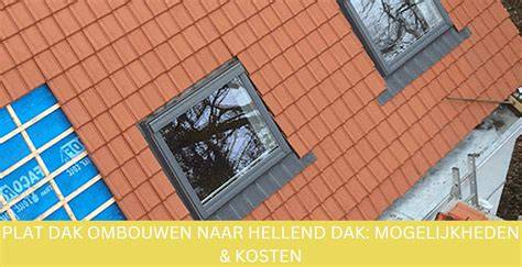 Infographic: Kosten per m2 plat dak vs. hellend dak