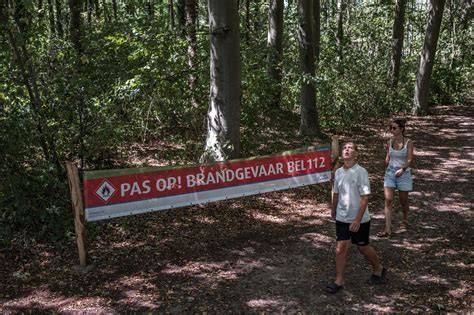 afbeelding: detail nadenafdichting en droogte